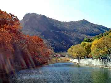 天天彩好彩天天免费，都市神尊